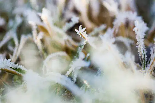 天气冷了的暖心句子 天气冷的幽默句子_微说说