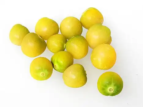 香酸,金梅,金梅果