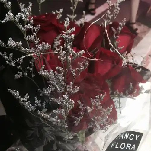 ins潮图朋友圈背景图/高质量/神仙背景