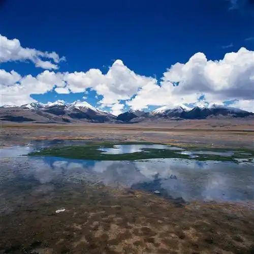 最美的风景微信头像图片