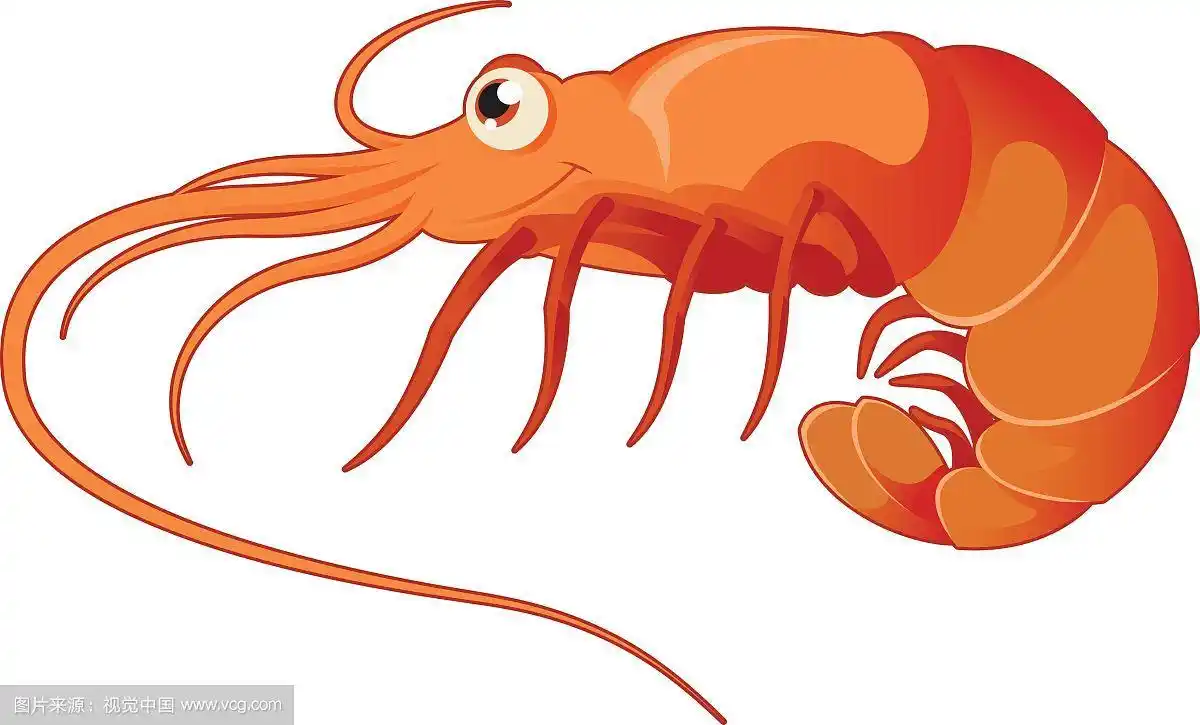 卡通虾