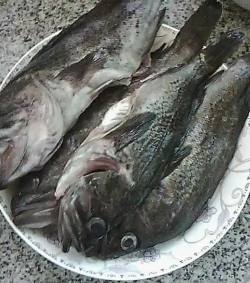炖黑鱼