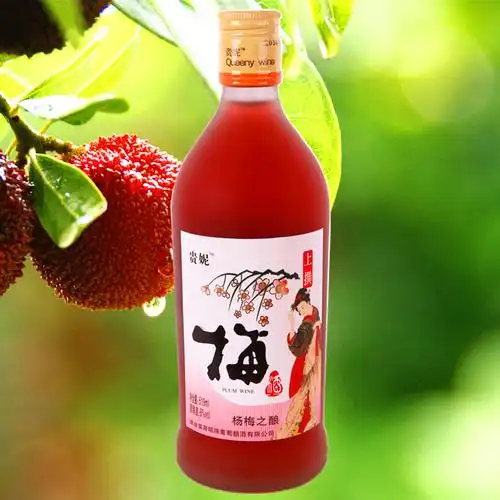 两瓶装杨梅酒甜酒梅子酒日式水果酒女士少女酒