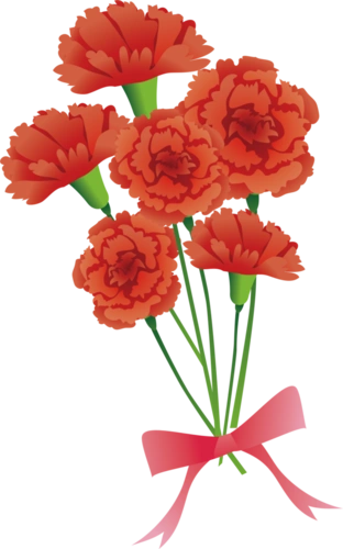 康乃馨母亲节感恩节png免抠素材 (181)