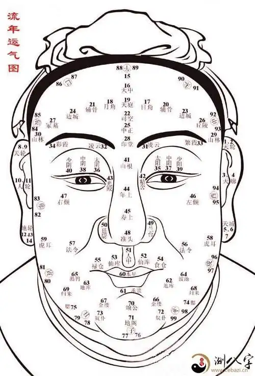 面相基本图,相术关键知识要点!