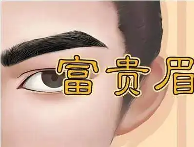 四种眉相富贵惊人