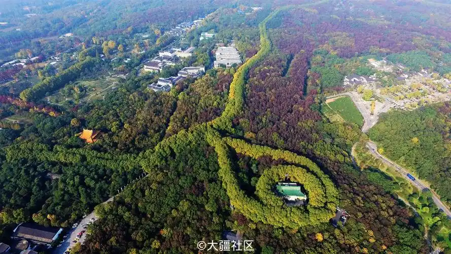 金色的项链南京中山陵美龄宫