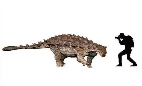 肠骨,其编号为zjz-183,发现于山东省诸城市龙都街道见屯社区臧家庄村