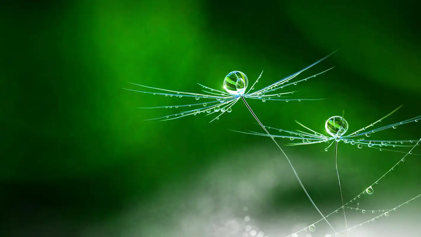 【风景桌面3】【1920*1080】[30p]