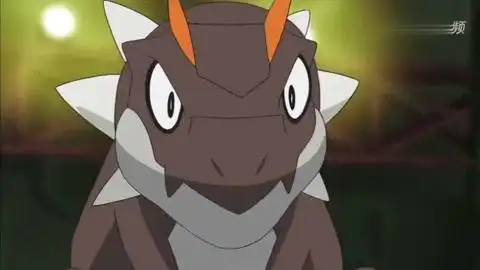 精灵宝可梦,宝宝暴龙