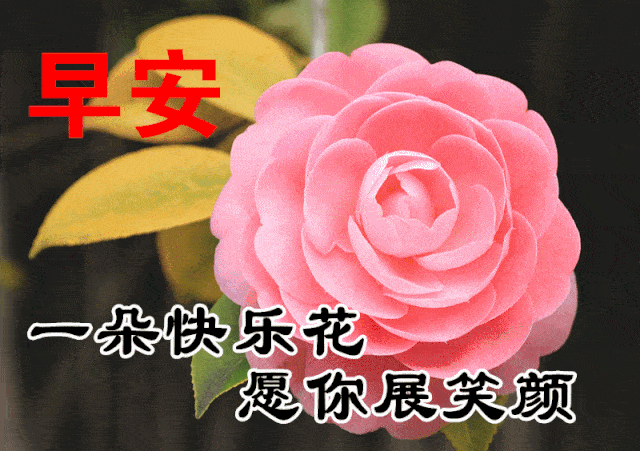 12月28日最漂亮早上好动态表情图片大全早晨好动图美图大全