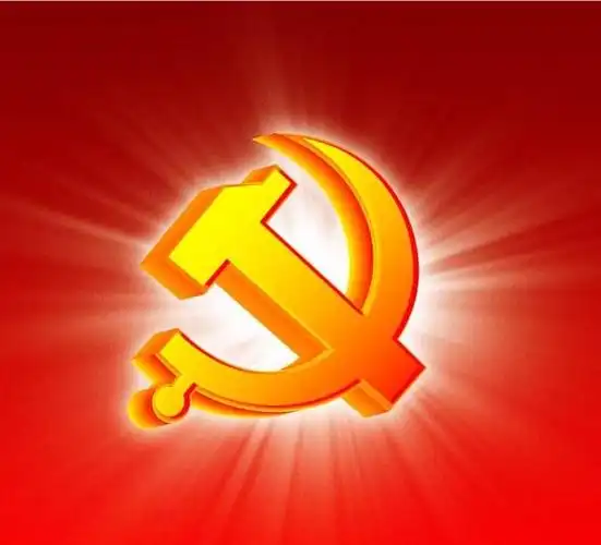 党徽在闪耀 我们在行动 ——新林区中小学综合实践学校党支部