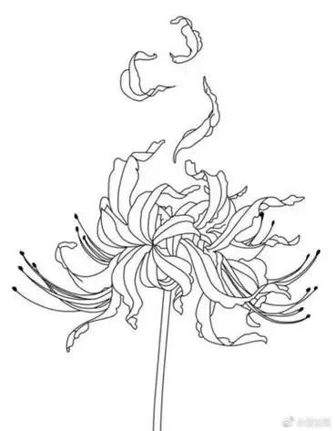 彼岸花简笔画古风