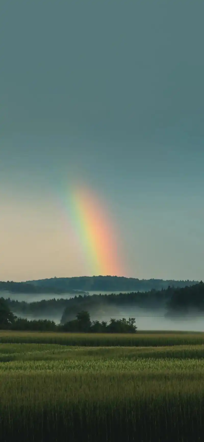 听说看见彩虹,身边就会有好事发生哦～#手机壁纸 #图文来了# - 抖音