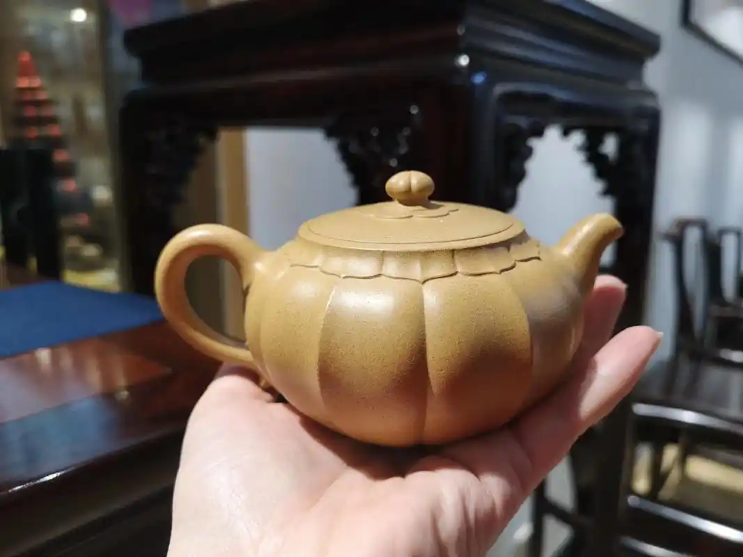 汤宣武作品.莲花芙蓉  龙德堂出品  #召唤茶友 #紫砂壶 - 抖音