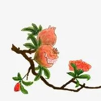 石榴花头像动漫_微信头像图片大全
