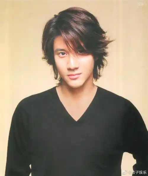 王力宏吴彦祖合影