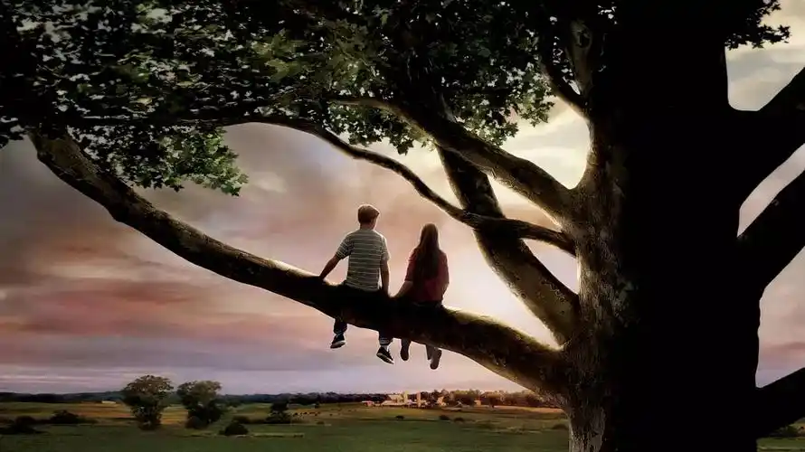 无花果树之恋(怦然心动中英双语版)书评