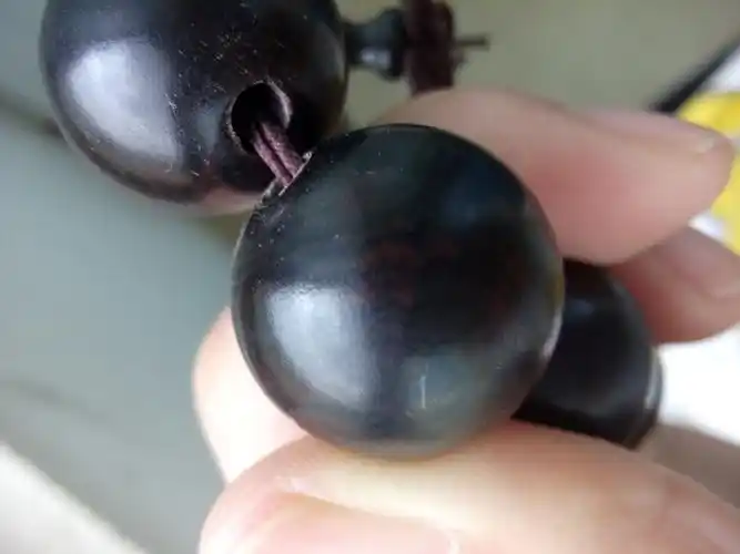 麻烦鉴定一下这串黑檀木手串的真假?