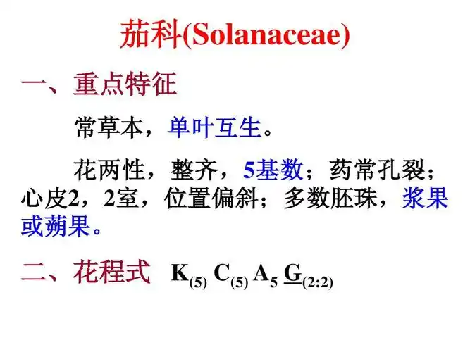 二,花程式 k(5) c(5) a5 g(2:2)