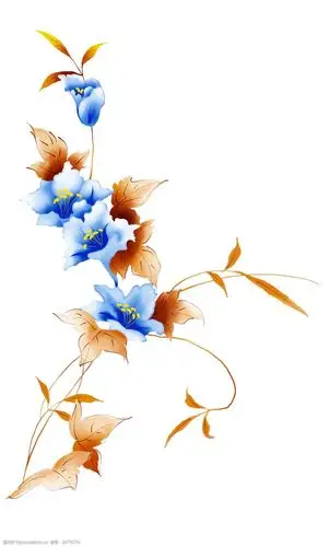 手绘花高清封面插画花水彩花