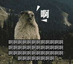 238_208gif 动态图 动图