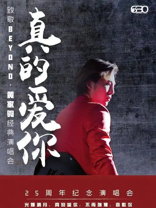 【新人立减20】真的爱你—致敬beyond·黄家驹25周年纪念演唱会