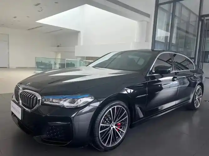 宝马5系 2020款 530 - 抖音