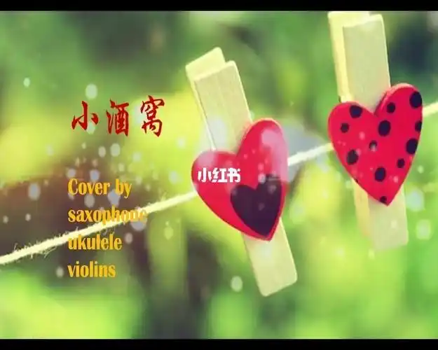 小酒窝乐器合奏cover