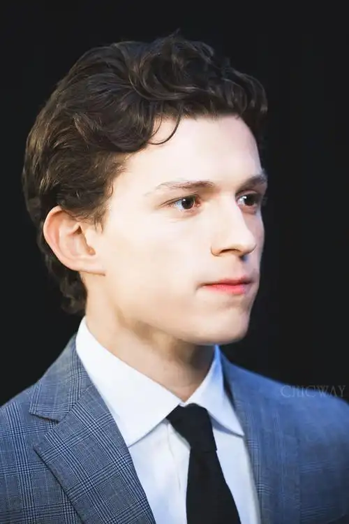 荷兰弟的小星球