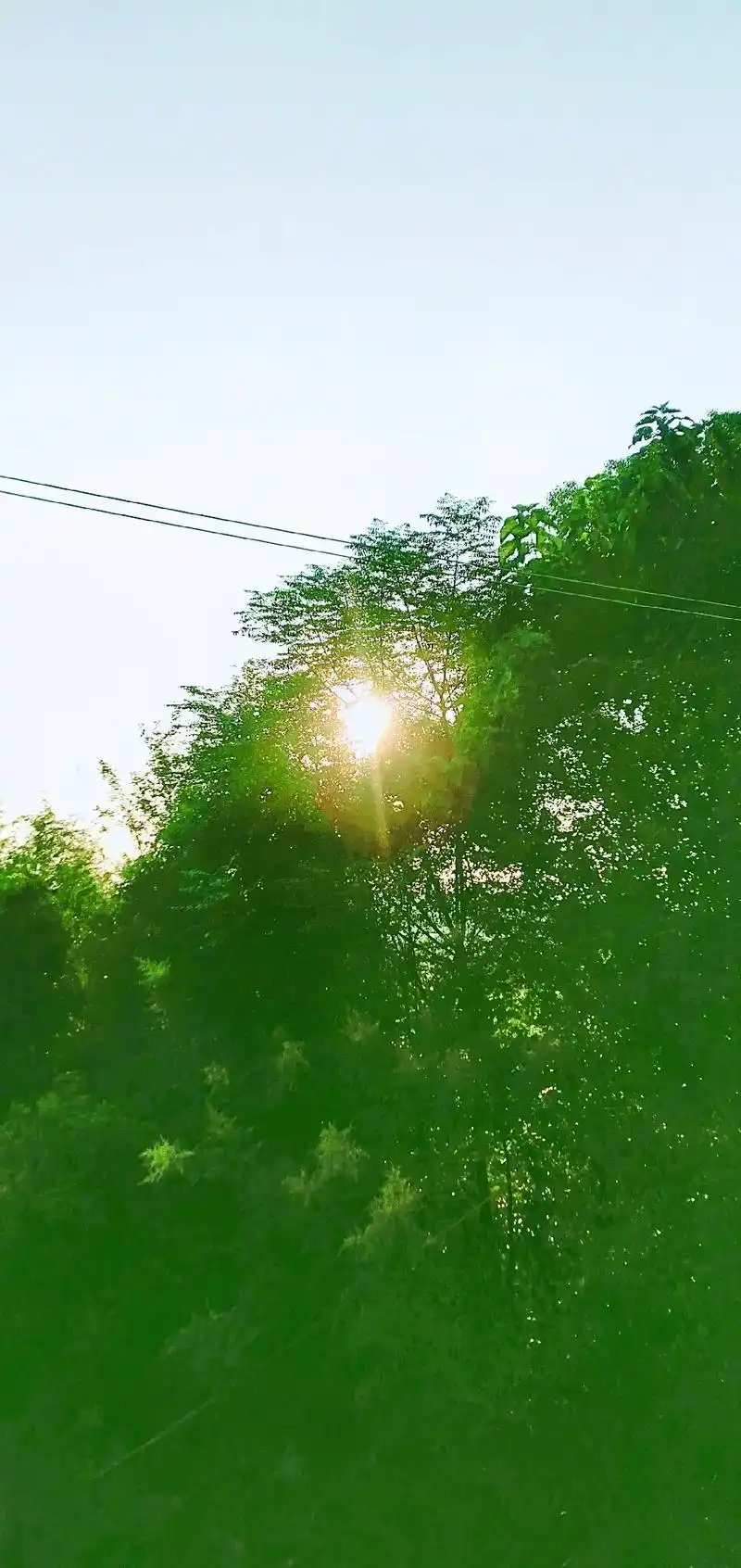 中午艳阳高照,温暖在你心间.傍晚 - 抖音