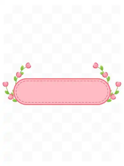 38节母亲节 i>粉 /i>红色花朵小清新 i>边 /i> i>框 /i>标题 i>框 /i>