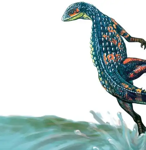 小盾龙是一种体形较小的植食性恐龙.