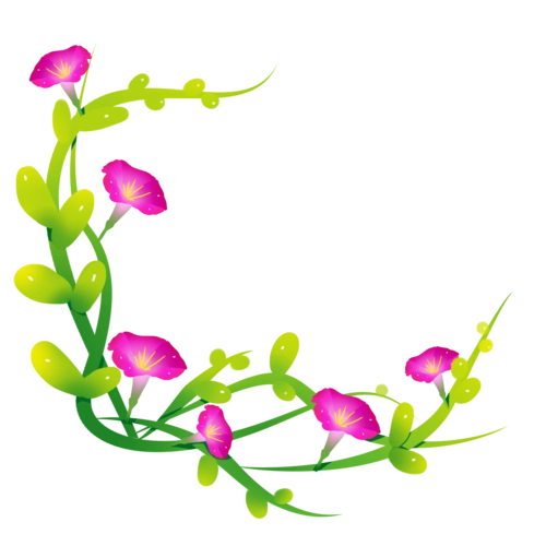 手绘牵牛花图片大全_手绘牵牛花图片素材【png免费下载】-90设计网