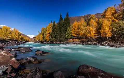 新疆哈密松树塘图片