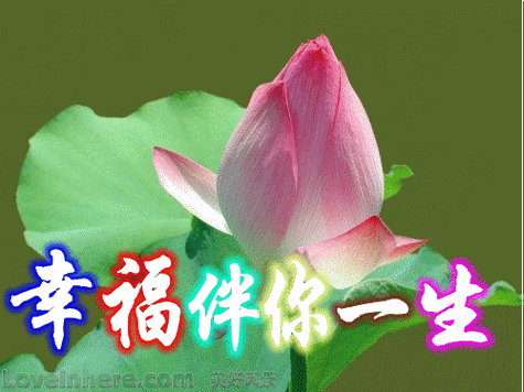 500_375gif 动态图 动图