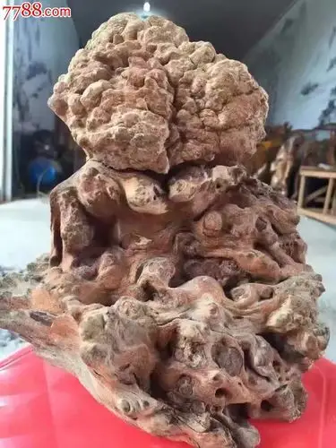 万木之王琥珀木极品收-其他根雕/木雕-7788收藏