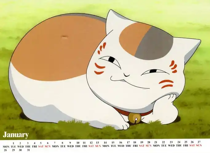 猫咪老师,你这个动作真搞笑啊