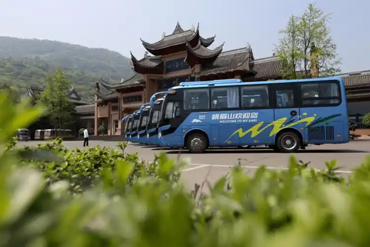 每年这个时候峨眉山就该火了