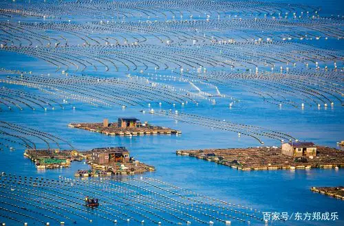 作品摄于2018年福建省连江县奇达村村民在海上养殖海产品的场景.