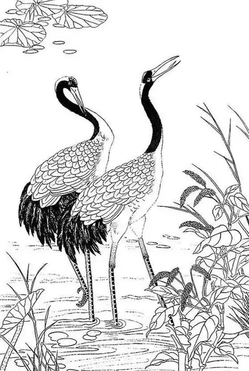 一组白描仙鹤,惟妙惟肖︱艺术名画