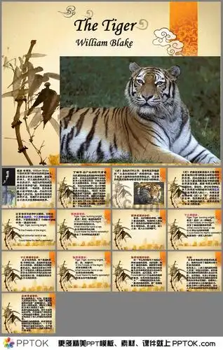 老虎ppt英文