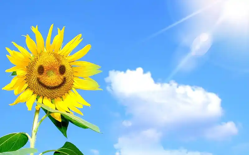 服务队伍温暖故事丨风雨过后,阳光再现