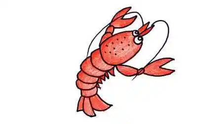 亲子教育 小龙虾简笔画幼儿美术早教轻松学画画