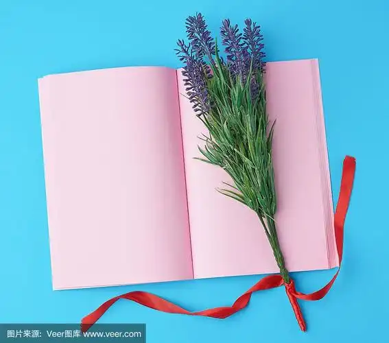 书页,开着的,笔记本,熏衣草,空白的