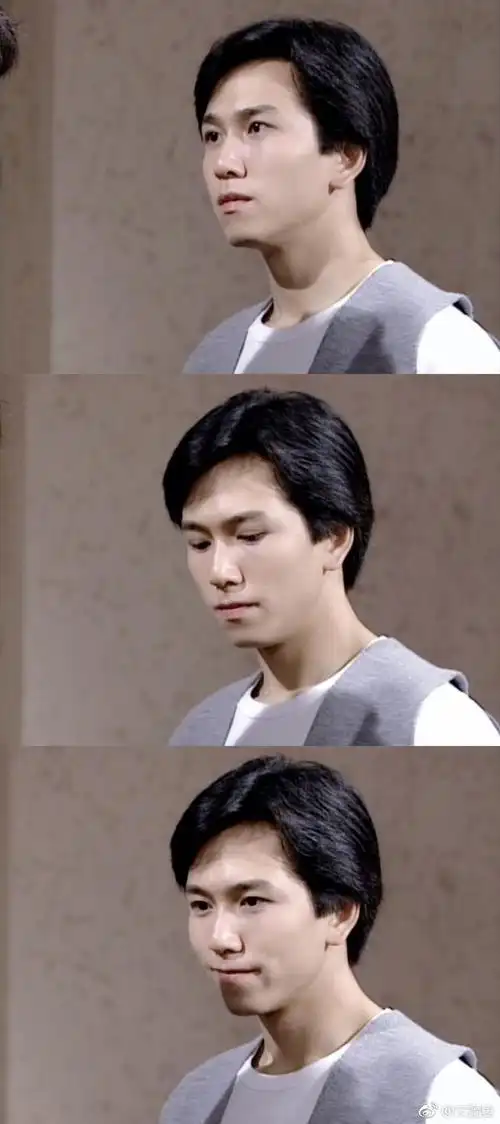 温兆伦好帅,他有着一种忧郁的气质