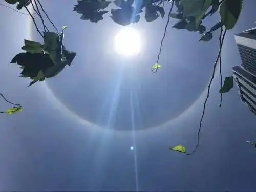 十分美丽,彩色光环绕在太阳周围,网友纷纷晒图刷爆了朋友圈.