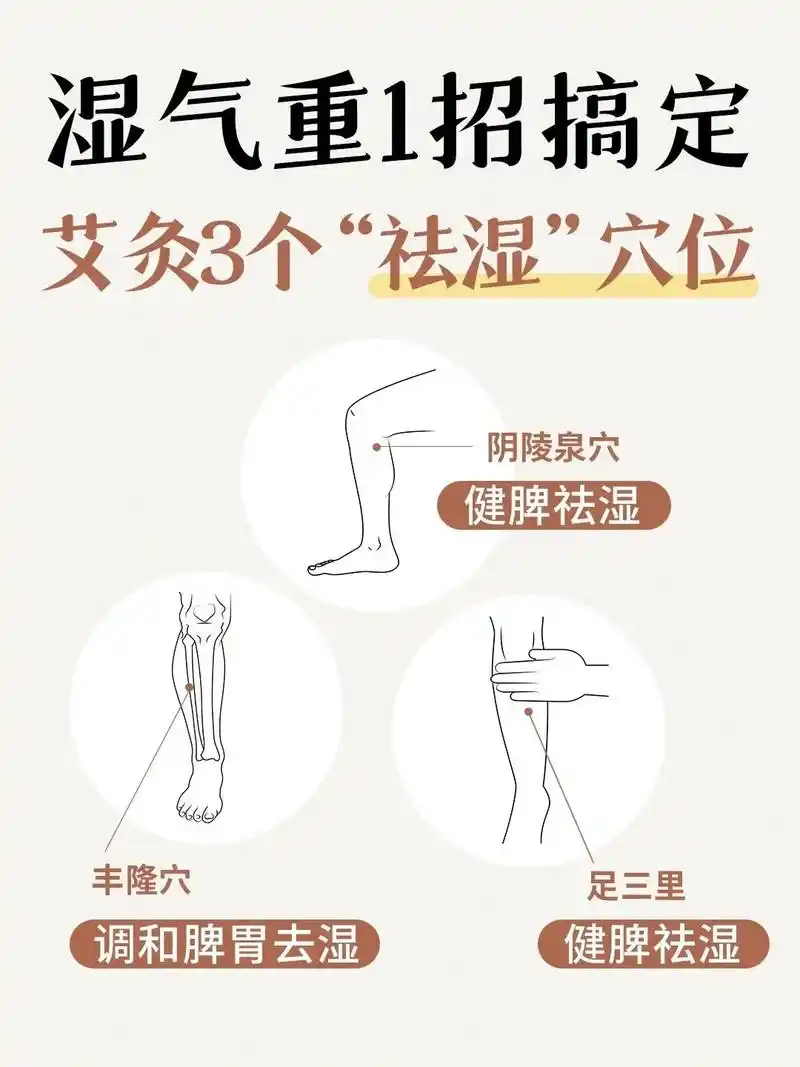 艾灸3个穴位.82湿气这个问题,困扰很女生 - 抖音