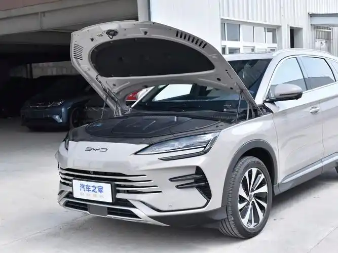 【图解图片_比亚迪海洋邵阳盛世开元店宋plus新能源图片】-汽车之家