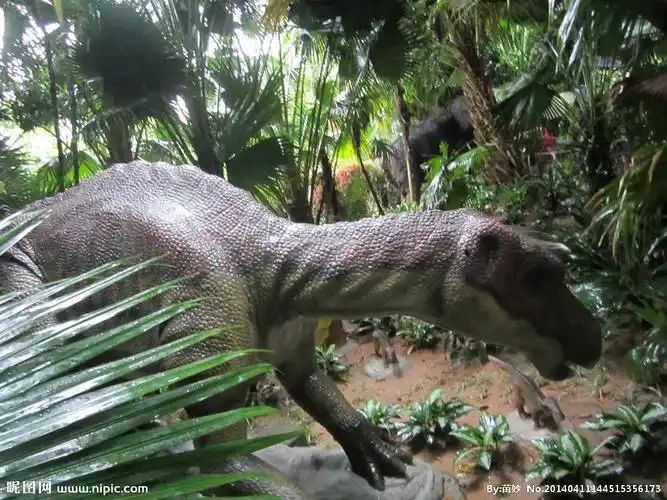 慈母龙摄影图片